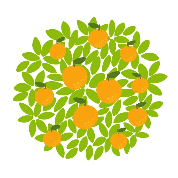 Orange fruits tree. Against the round background of the crown and leaves. Orchard garden harvest. Vector. — Stock Vector