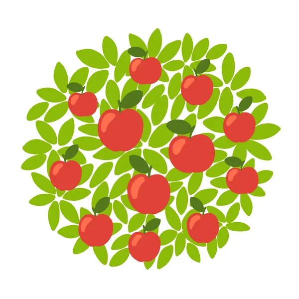 Frutales de manzana roja. Sobre el fondo redondo de la corona y las hojas. Cosecha del huerto. Vector. — Archivo Imágenes Vectoriales