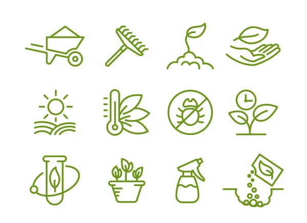 Set of icons. Growing seedlings plant. Agriculture and gardener. Biotechnology plants. Sowing seeds. Vector contour green line. — Stock Vector