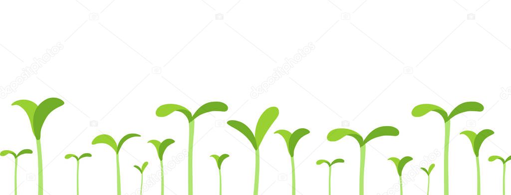 Agricultural seedlings field. Growing young plant shoots. Crops began to sprout. Spring season. Vector. Place for your text. Copy space. Horizontal banner.