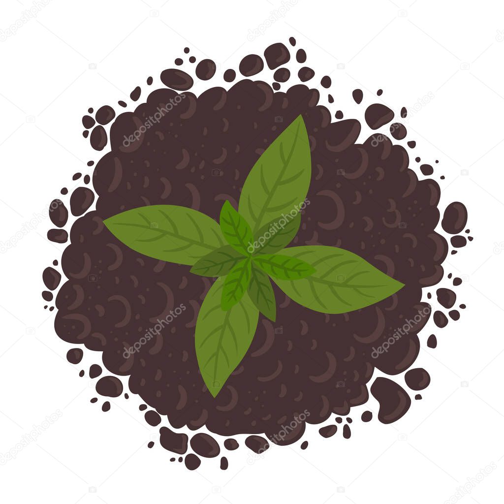 Young plant leaves on the pile of soil ground. Top view. Soil for growing and sprout seedlings. Vector illustration.