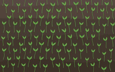 Tarım fideleri tarlası. Genç bitkiler filizleniyor. Kahverengi toprak sürmüş. Ekinler filizlenmeye başladı. Bahar sezonu. Vektör arkaplanı.