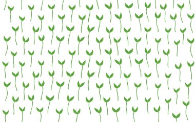 Tohum tarlası. Genç bitkiler yetişiyor. Tarım filizlenmeyi tetikler. Filizlenmeye başladı. Bahar sezonu. Vektör.