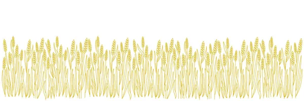 Weizenfeld. Getreideernte in der Landwirtschaft. Brotverpackung vorhanden. Trockenes Roggengrasstroh. Horizontale Fahne. Handgezeichnete Skizze. Konturvektorlinie. Offene Wege. Essbarer Schlaganfall. — Stockvektor