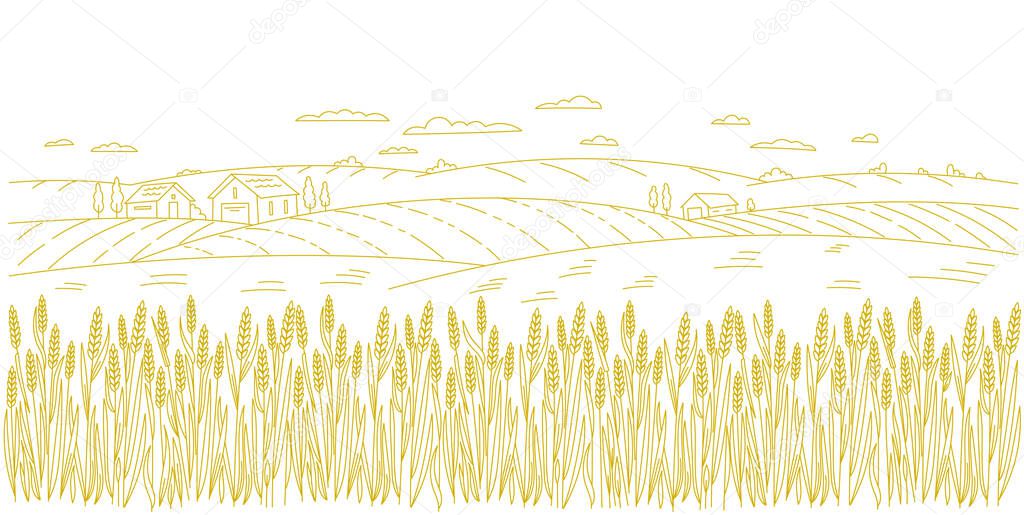 Wheat field. Rural landscape panorama. Agriculture cereal harvest. Dry grass meadow. Contour vector line. Bread wrapper. Open paths. Editable stroke. Hand drawn sketch.