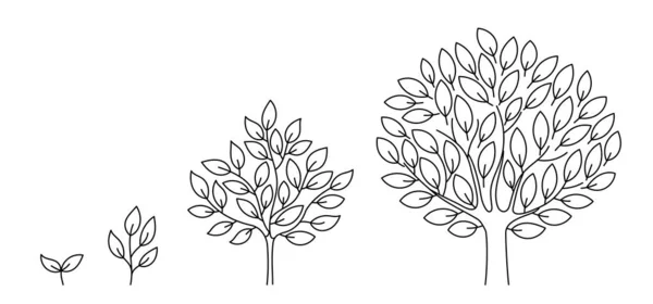 Etapas de crecimiento del árbol. Fase de desarrollo de plántulas. Progresión de animación. Infografía del desarrollo del ciclo económico. Línea de contorno vectorial. Caminos abiertos. Un derrame cerebral. Proceso de vida vegetal. — Archivo Imágenes Vectoriales