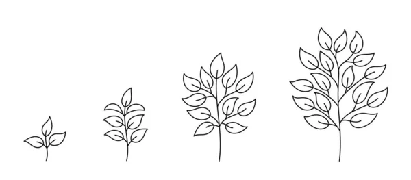 Стадии роста деревьев. Этап развития саженцев. Инфографика анимации. Векторная линия контура. Открытые пути. Редактируемый удар. Жизненный процесс растений. — стоковый вектор