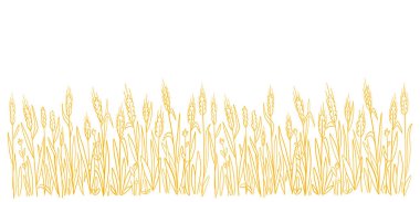 Buğday tarlası. El çizimi eskiz. Tarım gevreği hasadı. Ekmek kağıdı. Kuru çavdar kamışı. Yatay Pankart.