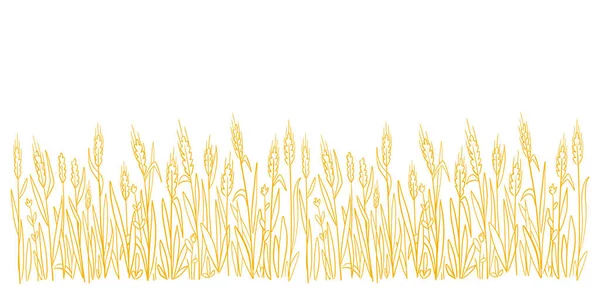 Campo de trigo. Esboço desenhado à mão. Agricultura colheita de cereais. Empacotador de pão. Palha de centeio seco. Bandeira horizontal. —  Vetores de Stock