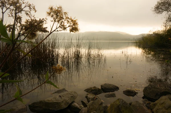 Junto al lago — Foto de Stock