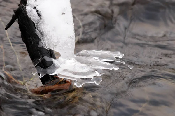 Autumn frost ice over water. Winter is approaching. Cold water over which ice has formed on the tree.