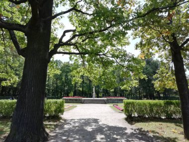 Walk in Pavlovsky Park on a summer day. Nice view in the park, lots of greenery and trees. Pavlovsk, Saint Petersburg, Russia