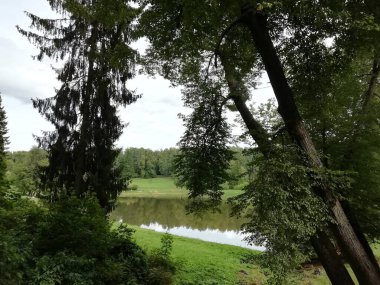 Walk in Pavlovsky Park on a summer day. Nice view in the park, lots of greenery and trees. Pavlovsk, Saint Petersburg, Russia