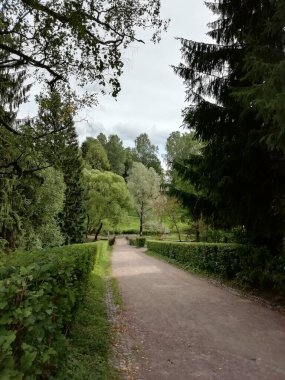 Walk in Pavlovsky Park on a summer day. Nice view in the park, lots of greenery and trees. Pavlovsk, Saint Petersburg, Russia