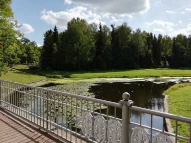 Walk in Pavlovsky Park on a summer day. Nice view in the park, lots of greenery and trees. Pavlovsk, Saint Petersburg, Russia