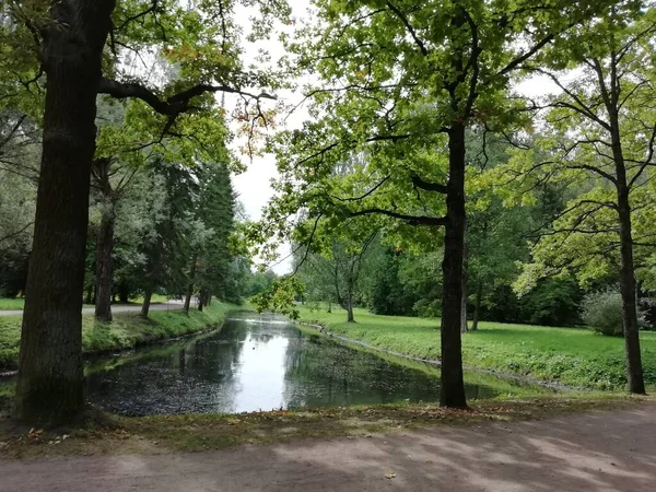 Walk Pavlovsky Park Summer Day Nice View Park Lots Greenery — Stock Photo, Image