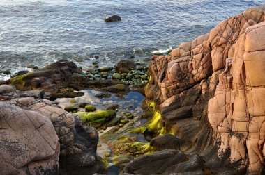 Kayalardan denize yeşil tonlarda sıra dışı dokulara sahip büyük taşlarla bakın. Kayalık deniz kıyısının üzerindeki manzara. Kaya dağları arasında deniz manzarası. Güneşli bir günde, yüksek bir dağdan gelen deniz..