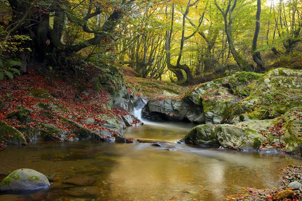 Río de montaña a finales de otoño — Foto de Stock