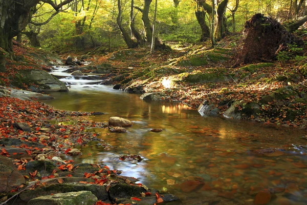 Mountain river in late Autumn — Stock Photo, Image