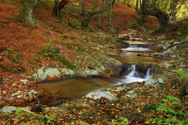 Río de montaña a finales de otoño — Foto de Stock