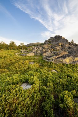 gün batımı yeşil alanda