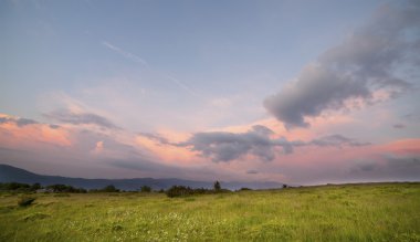 gün batımı yeşil alanda