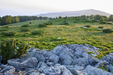 Manzara, güneşli bir tarlada şafak