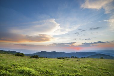 Manzara, güneşli bir tarlada şafak