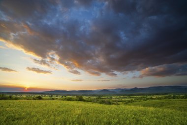 Yeşil alanda dramatik günbatımı