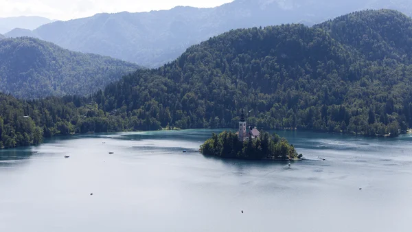 ヨーロッパのスロベニア島の教会と湖のせせらぎ — ストック写真