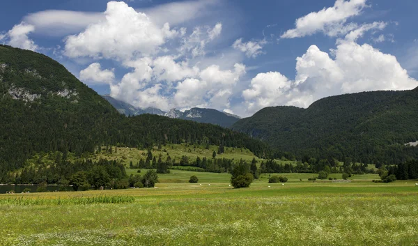 Letní krajina v horách a tmavě modrá obloha s mraky — Stock fotografie