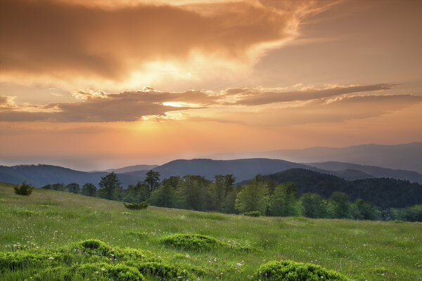 закат над зеленым полем