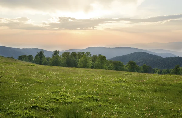 Puesta de sol sobre campo verde — Foto de Stock