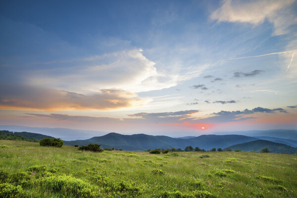 Пейзаж, солнечный рассвет в поле