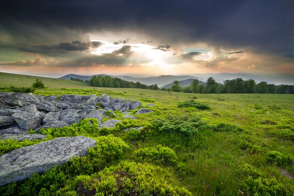 Sonnenuntergang über grünem Feld — Stockfoto