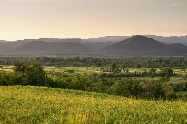 Puesta de sol sobre campo verde — Foto de Stock