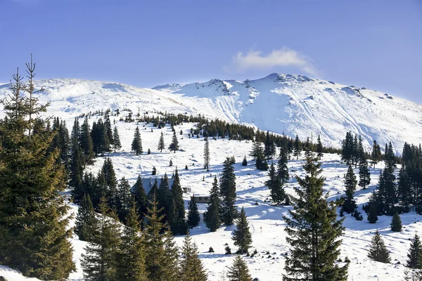 Winter Landscape Stock Picture