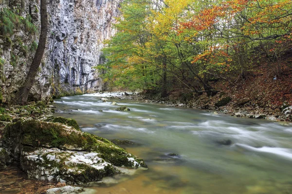 Rio Montanha no final do Outono — Fotografia de Stock