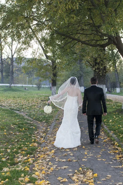 Elegantní nevěsta a ženich pózuje spolu venku — Stock fotografie