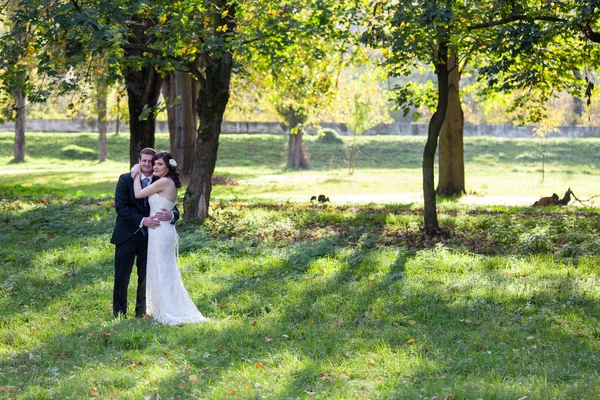 Elegantní nevěsta a ženich pózuje spolu venku — Stock fotografie