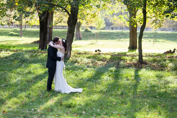 エレガントな花嫁と花婿を一緒に屋外でポーズ — ストック写真