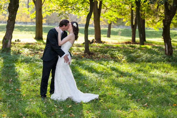 Elegant bride and groom posing together outdoors — Stock Photo, Image