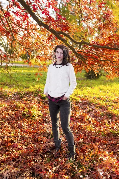 秋叶中的女波特雷 — 图库照片