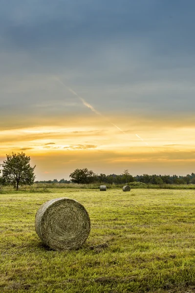Big hay bale rolls in a lush green field Royalty Free Stock Images