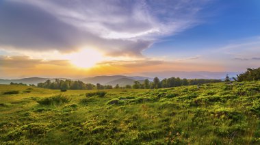 gün batımı yeşil alanda