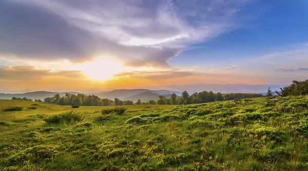 Puesta de sol sobre campo verde — Foto de Stock