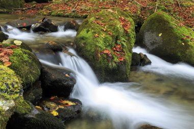 Sonbaharın sonlarında dağ nehri