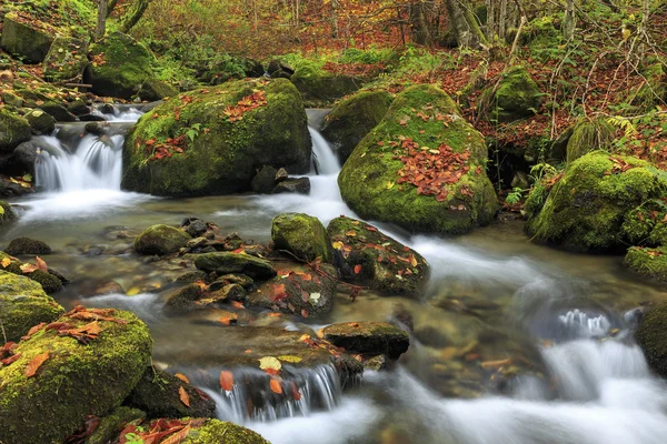 Mountain river in late Autumn — Stock Photo, Image