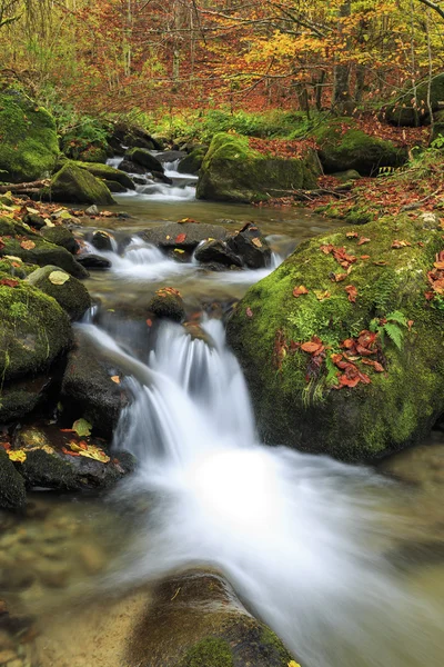 Mountain river in late Autumn — Stock Photo, Image