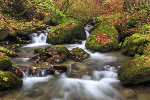 Mountain river in late Autumn — Stock Photo, Image